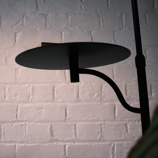 A close-up view highlights the lamp’s round black tray. It holds a small book. A painted brick wall provides a textured, white background.