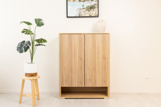 Renne Shoe Cabinet in oak wood finish with clean double-door design, styled with indoor plant and decorative vase in a modern New Zealand home.